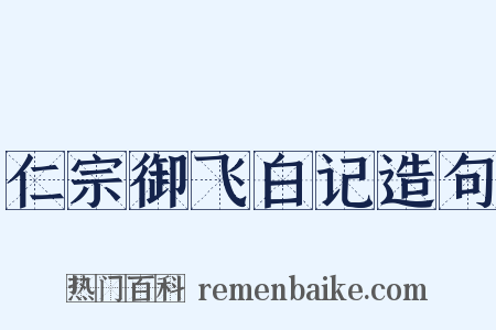 仁宗御飞白记造句是什么意思的图片